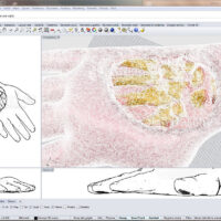 20240514_stampa_3d_collab_strutture_ospedaliere_0